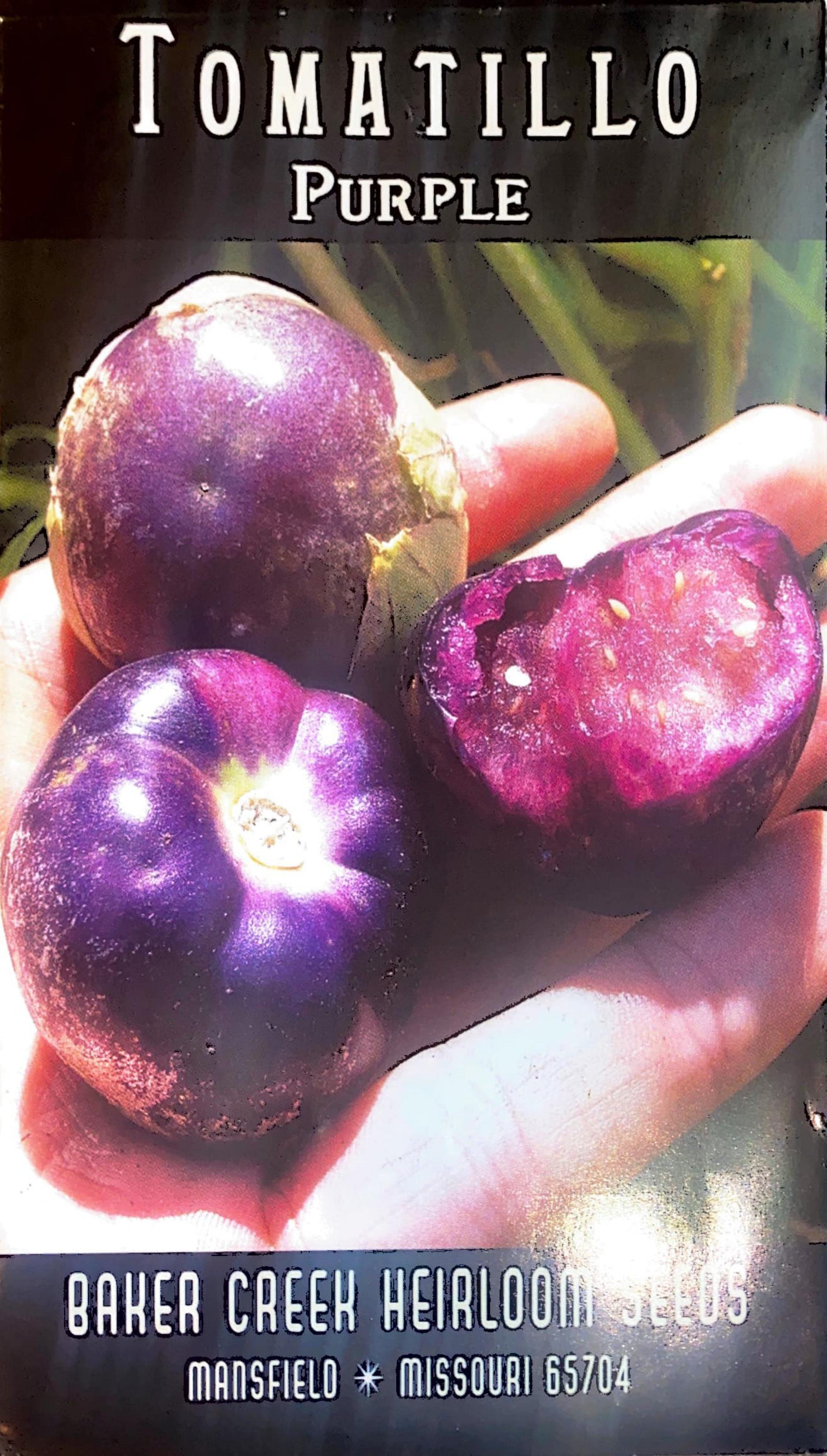 Purple Tomatillo