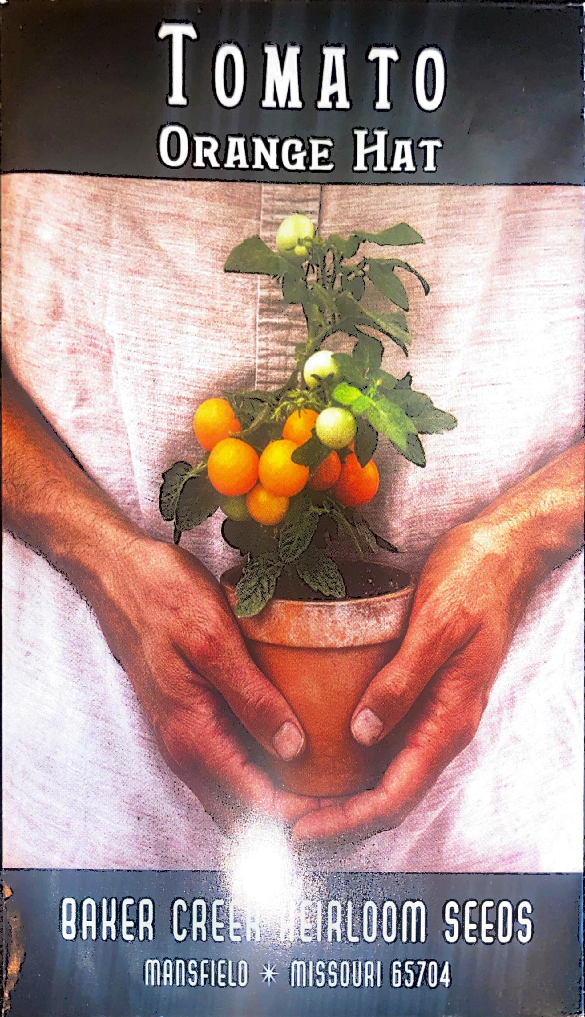 Orange Hat Tomato